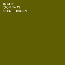#605E02 - Antique Bronze Color Image